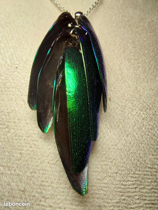 Pendentif élytres Sternocera – Vrai scarabée – Collier argent 925 – Bijou curiosités – Insecte naturel – Chaînes au choix (image 5)
