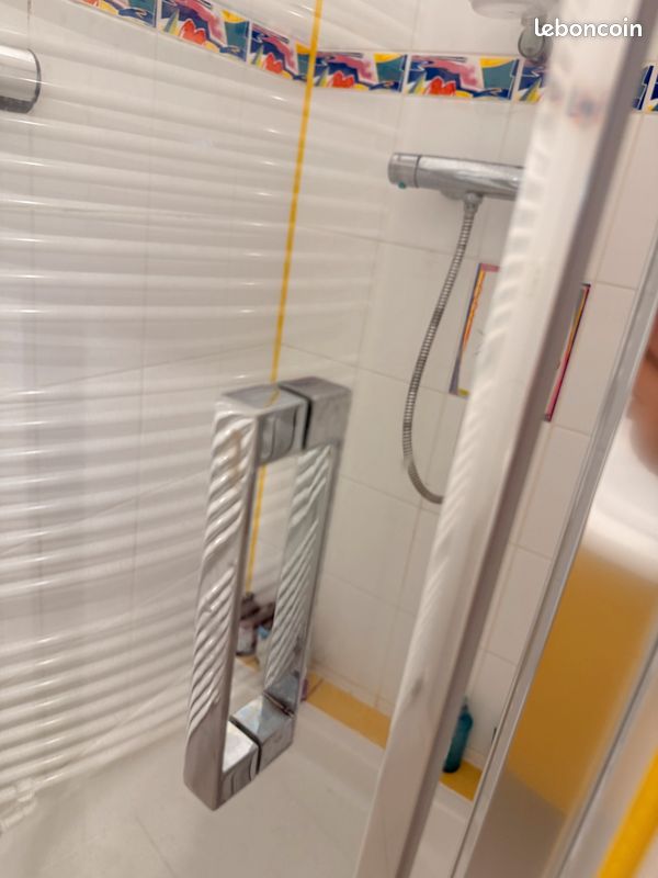 Porte de douche pivotante Vismara (image 5)
