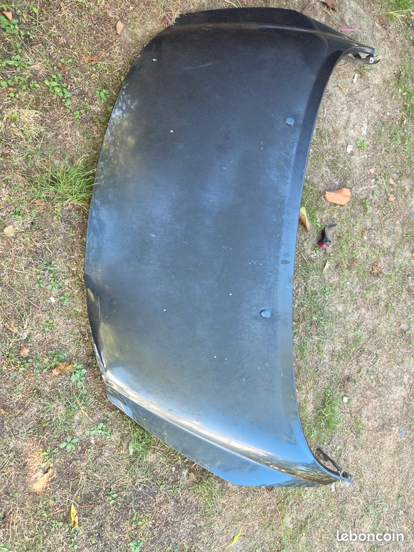 Capot 207 (image 1)