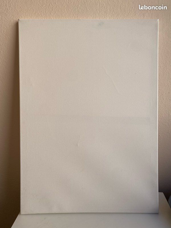 Toile de peinture vierge (image 1)