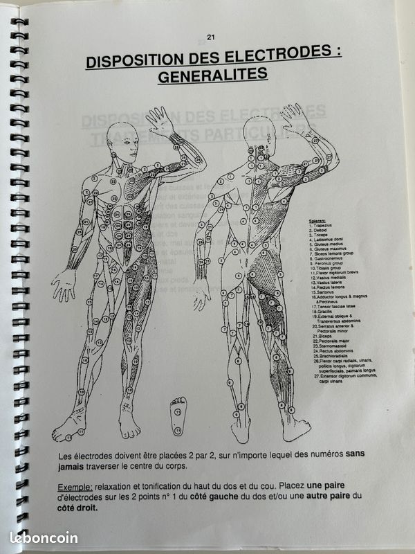 32 électrodes rectangulaires • Electrostimulation Sport Elec 32 électrodes rectangulaires • Electrostimulation Sport Elec