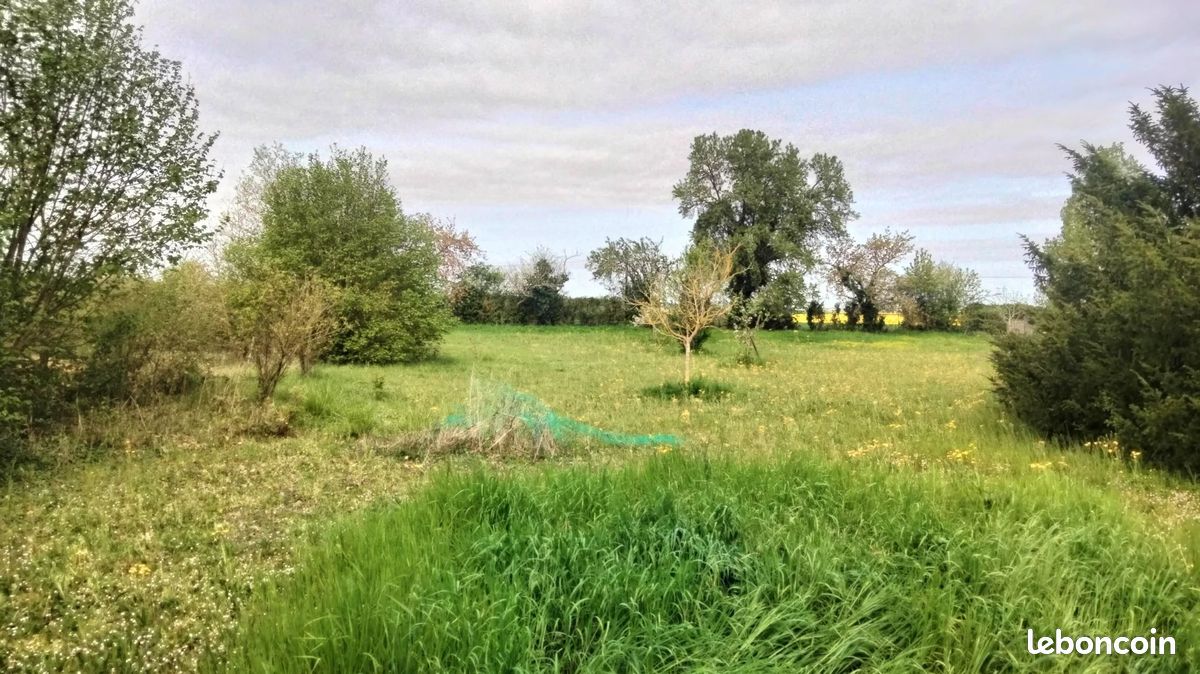 Terrain Charrais · à Saint-Martin-la-Pallu · 33 500 €