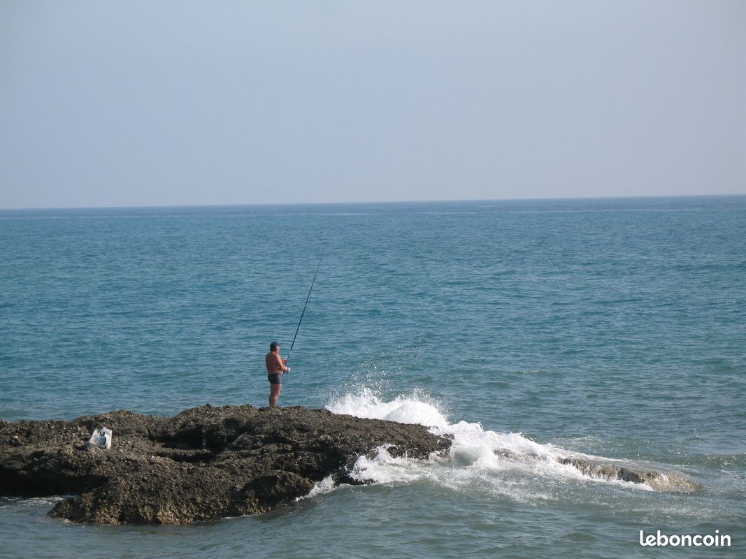 Villa bord de mer située à la marine de Bravone (image 6)
