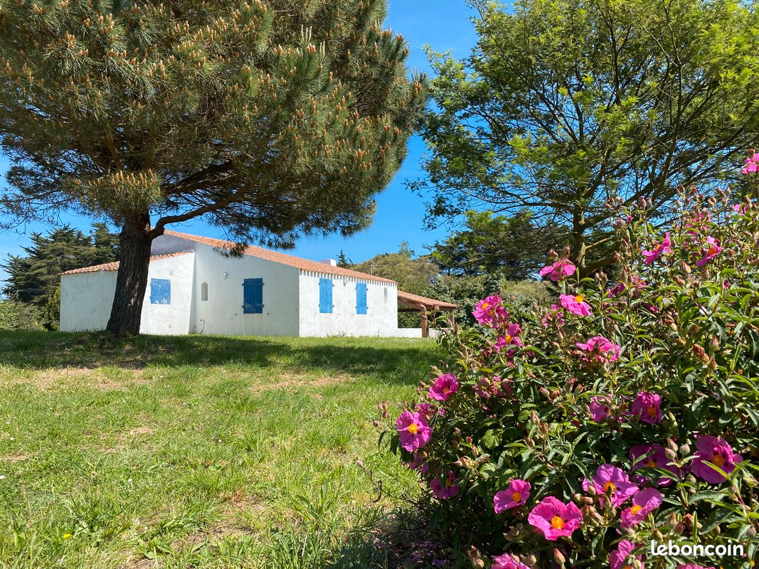 Location maison île D’yeu (image 4)