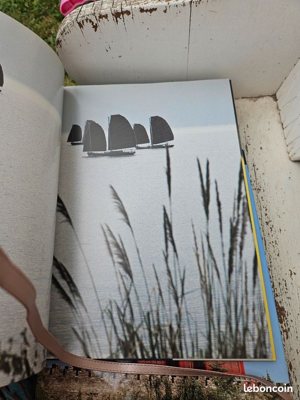 Majestueux vietnam livre de jean-leo dugast et philippe franchini atlas (image 3)