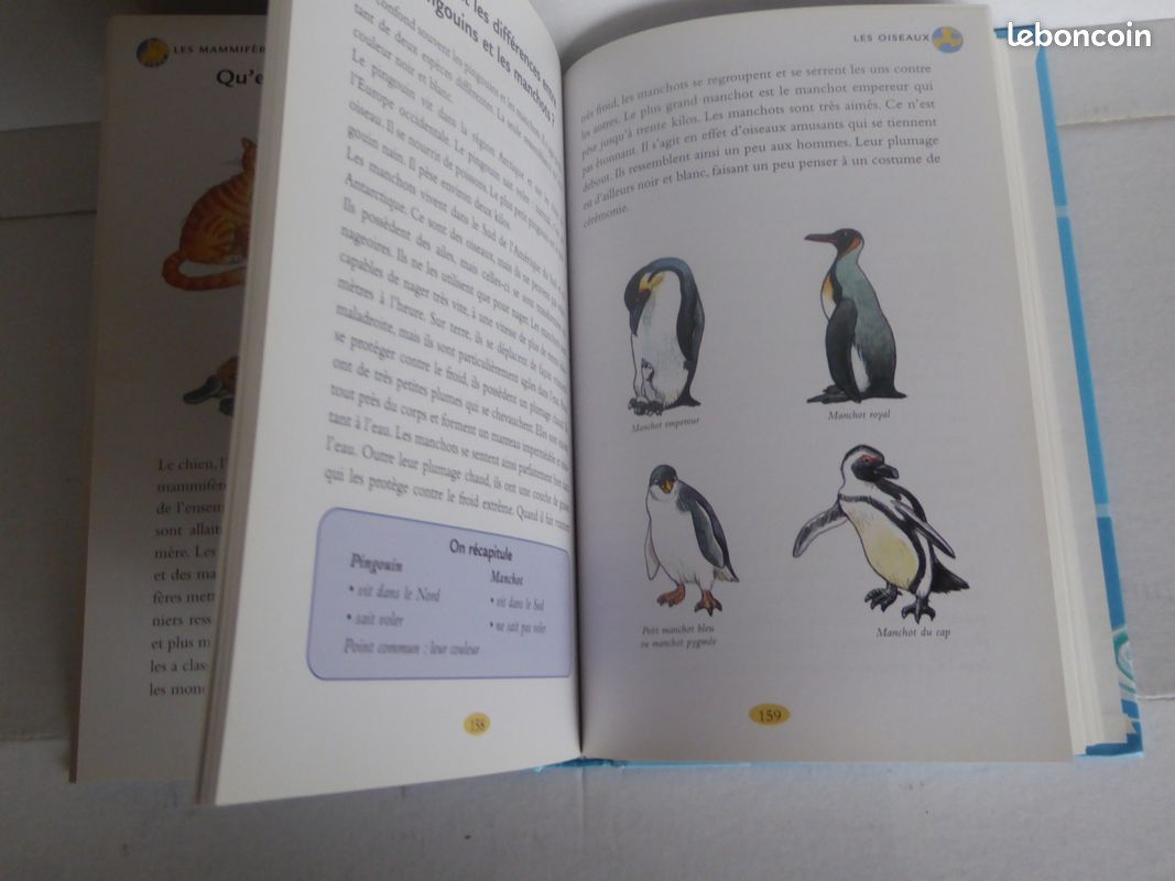 Livre Quoi ? Pourquoi ? Comment ? (image 3)