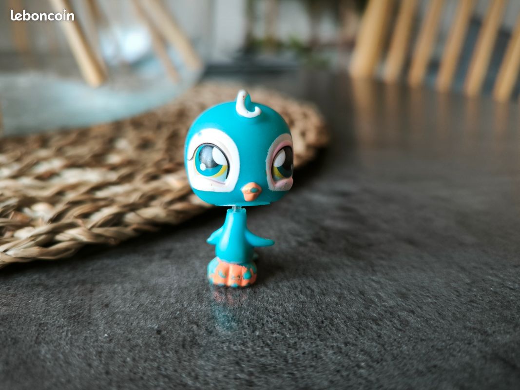 LPS N° 43 - Perruche bleu (image 1)