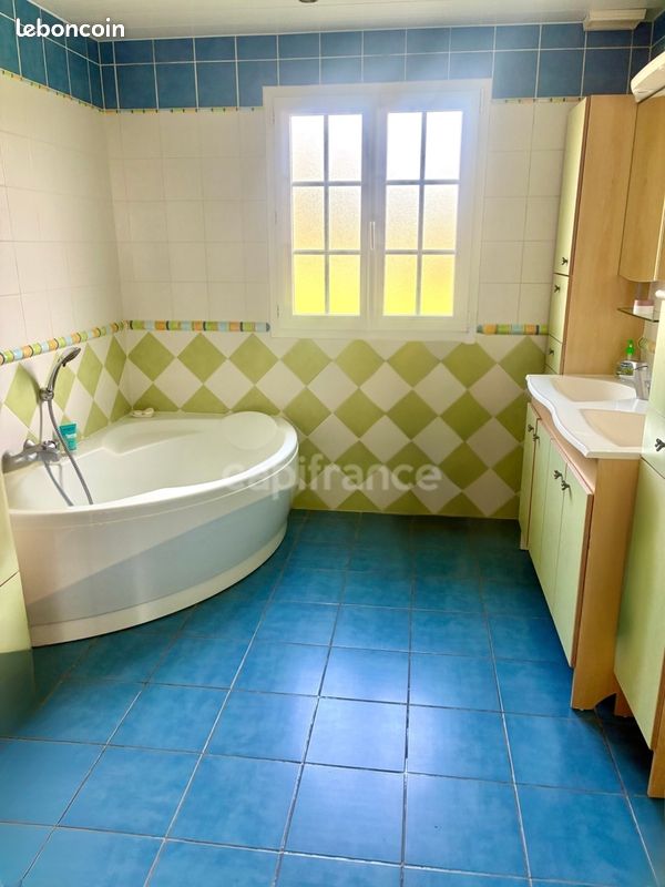 Maison 8 pièces 226 m² (image 17)