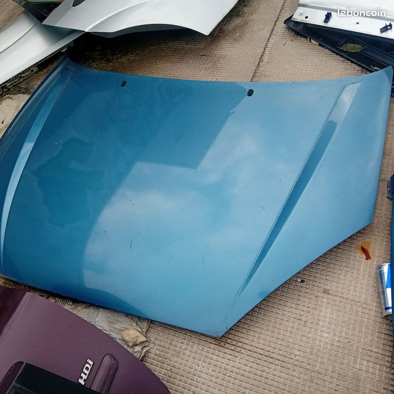 Ford fucus Malle/Hayon arriere capot avant (image 2)
