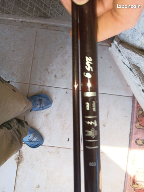 Canne carbone à carpe Sport Plein air