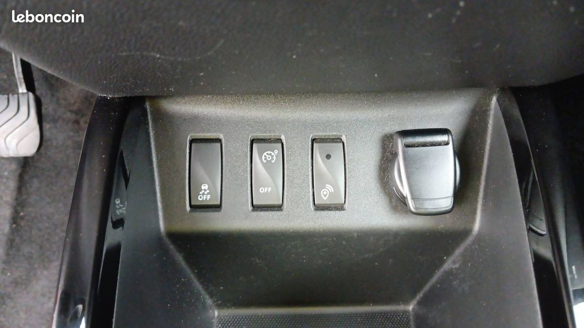 Dacia spring expression (image 26)