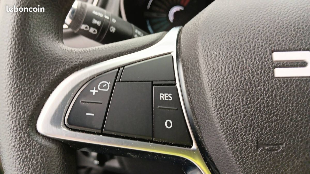 Dacia spring expression (image 22)