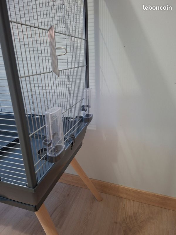 Cage d'oiseau (image 2)