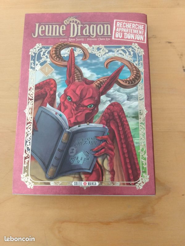 Lot de livres jeunes dragons (image 7)