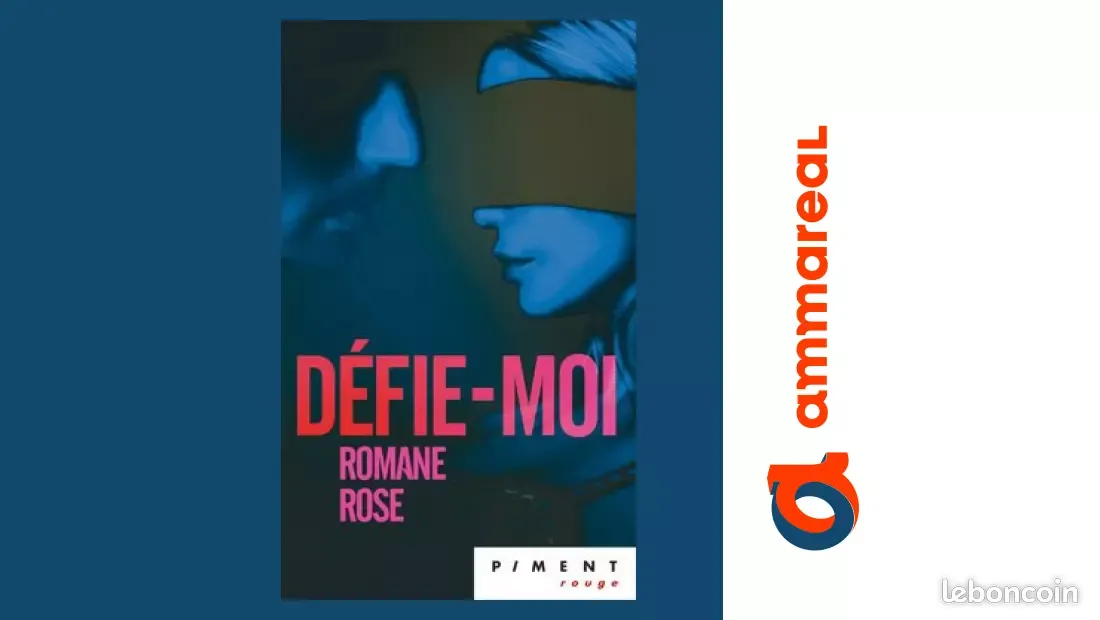 Défie-moi : roman