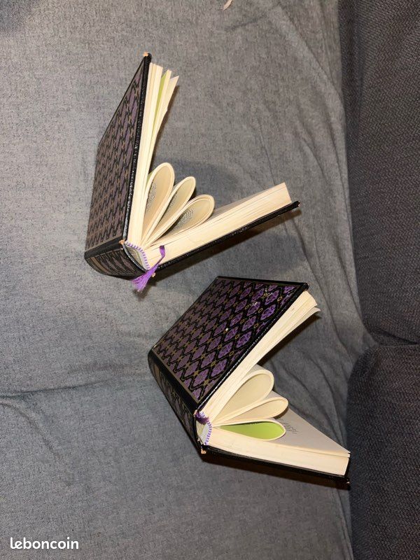 Livres décoratifs (image 2)