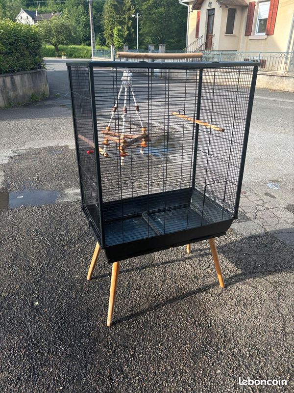 Cage à oiseaux (image 2)