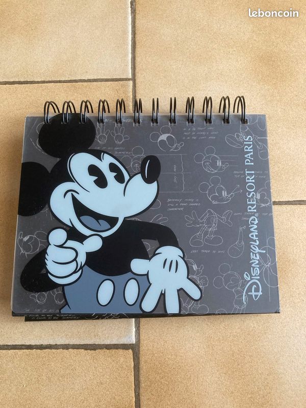 Album photo Disney à poser (image 1)