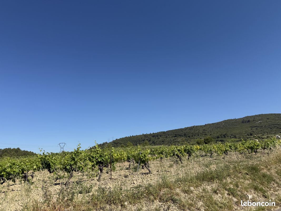 Maison de charme | Terrain arboré et calme | Causses-et-Veyran (image 19)