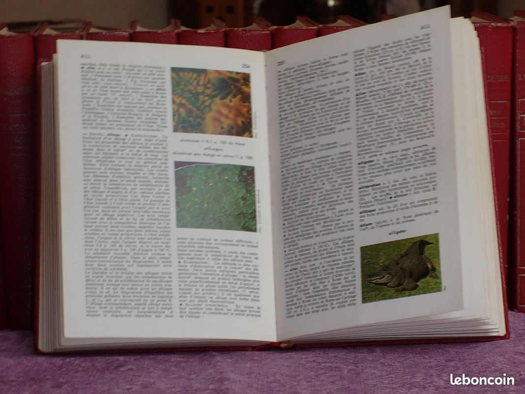 Encyclopedie larousse (image 2)