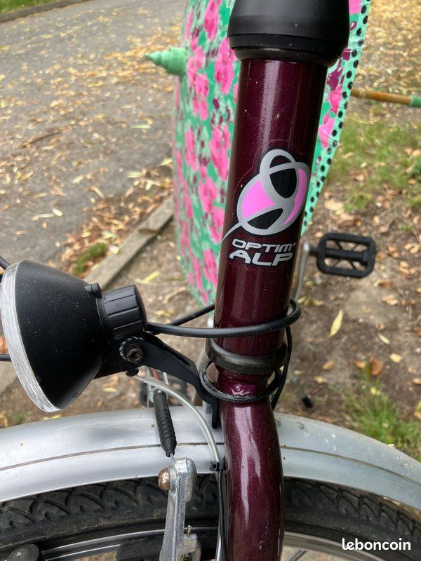Vélo de ville femme bordeaux (Belladone) (image 6)