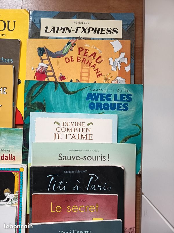 Gros lot 30 livres de l'école des loisirs (image 6)