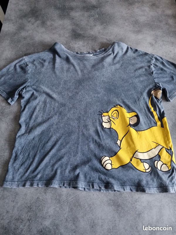 Pull Jennyfer Site Officiel Roi Lion Pull De Disney Tee Shirt
