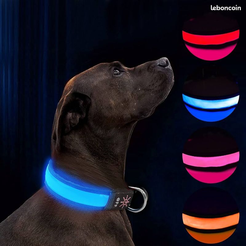 Collier LED Clignotant Pour Chien Ou Chat - Sécurité Nuit, Lumière Visible, Anti-perte
