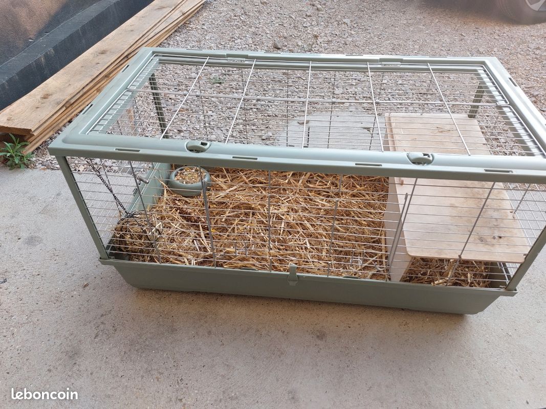 Grande cage à lapin avec accessoires – Très bon état (image 1)