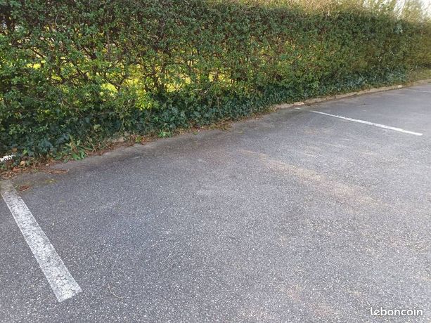 Parking Bron