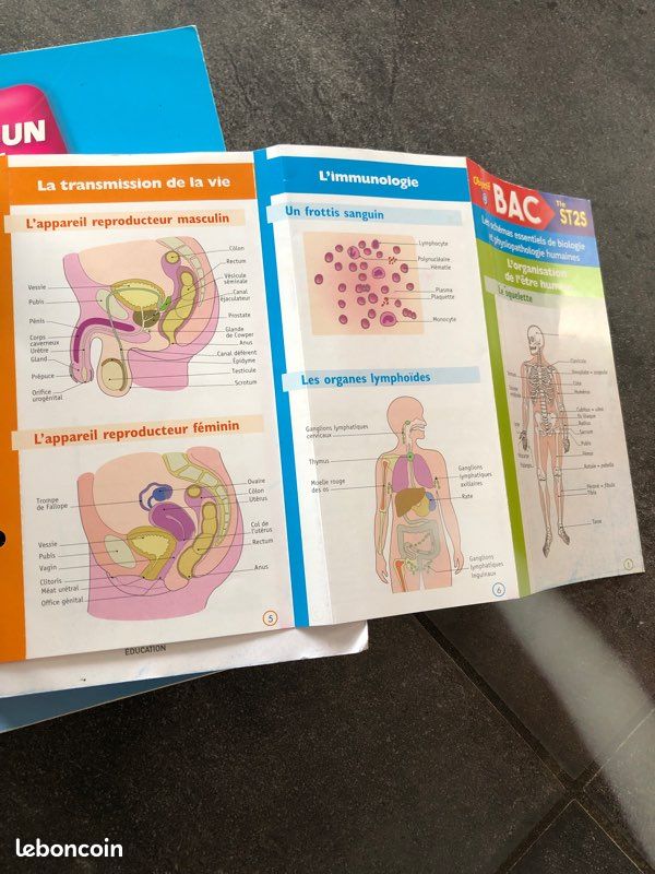 Livres Prépabac ST2S (image 7)