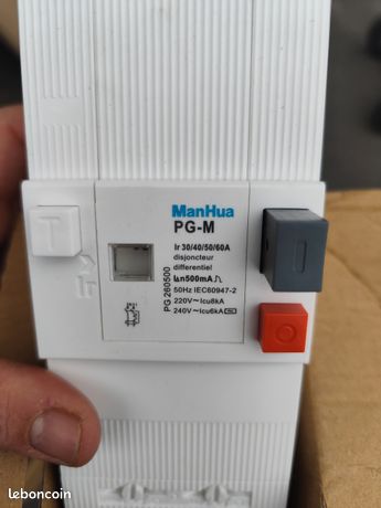 Disjoncteur 2 Pôles 30-60A - Protection Surcharge/Court-Circuit - Pour Rail DIN - 50/60Hz 220V