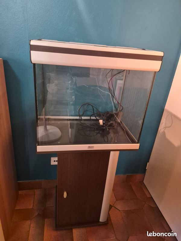 Aquarium (image 3)