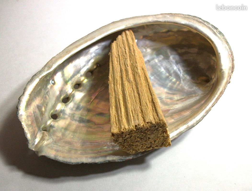 Pack Palo santo et Abalone (image 4)