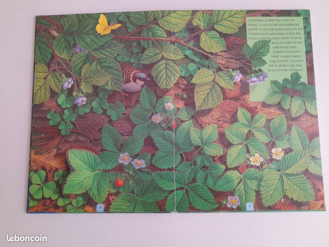 Livre la vie cachée de la nature (image 2)