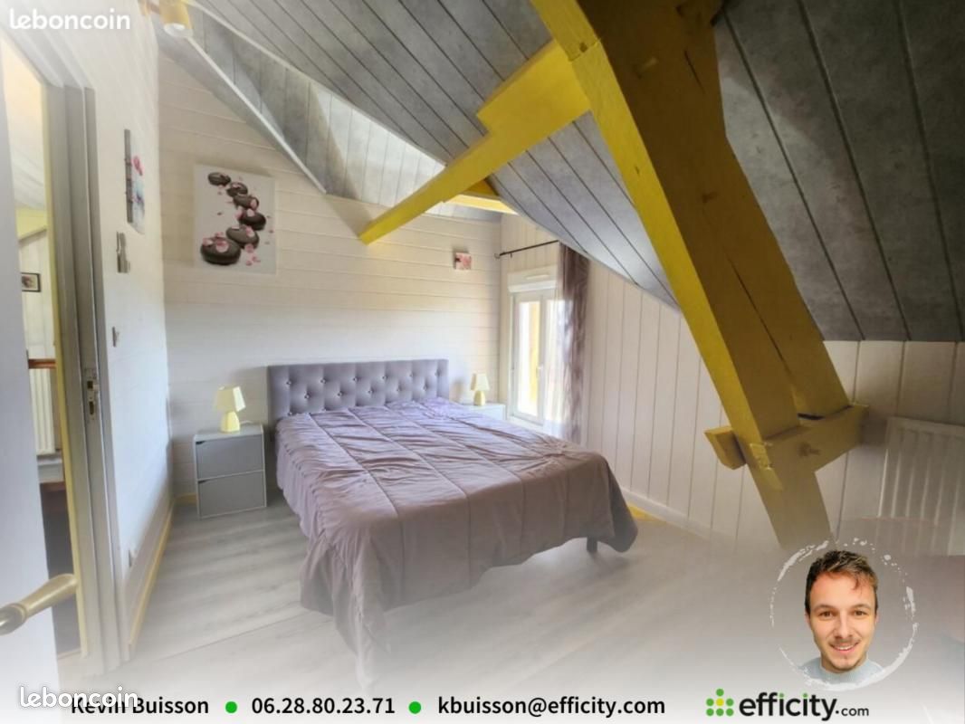 Maison 6 pièces 185 m² - Aubeterre-sur-Dronne 16390 (image principale 10)