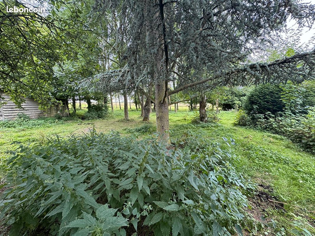Terrain 4120 m² · à Berlencourt-le-Cauroy · 4 120 m² · 60 000 €