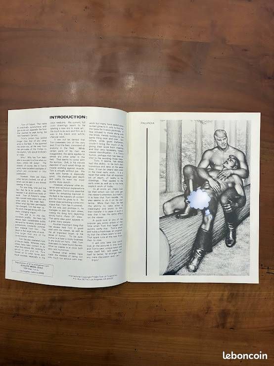 Bande dessinée rare, pour Adultes : "The Men by Tom of Finland " Edition 1984 (image 5)