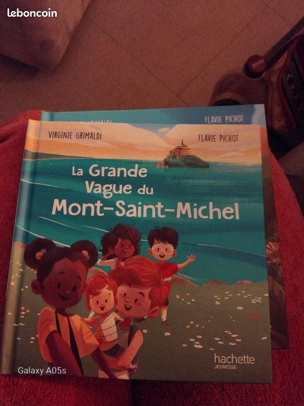 Lot de 6 livres Merveilles de France (image 6)