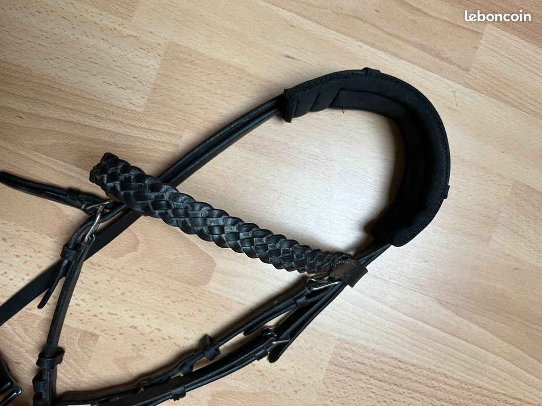 Bridon noir COB (image 1)