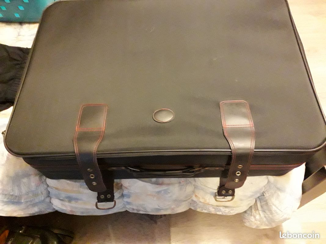 Valise (image 1)