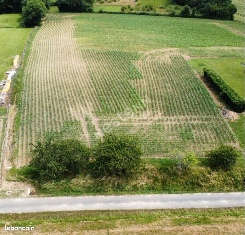 Terrain 1070 m² · à Montcony · 1 070 m² · 17 000 €