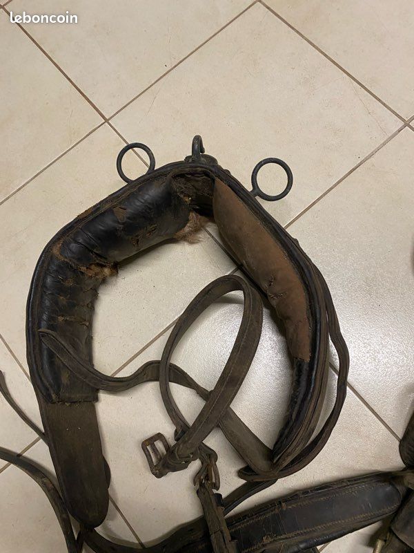 Harnachement en cuir pour sulky et deux selle (image 1)