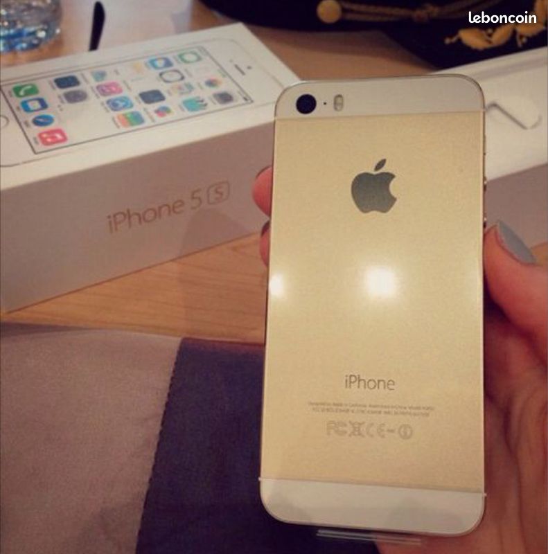 IPhone 5s avec accessoires (image 3)