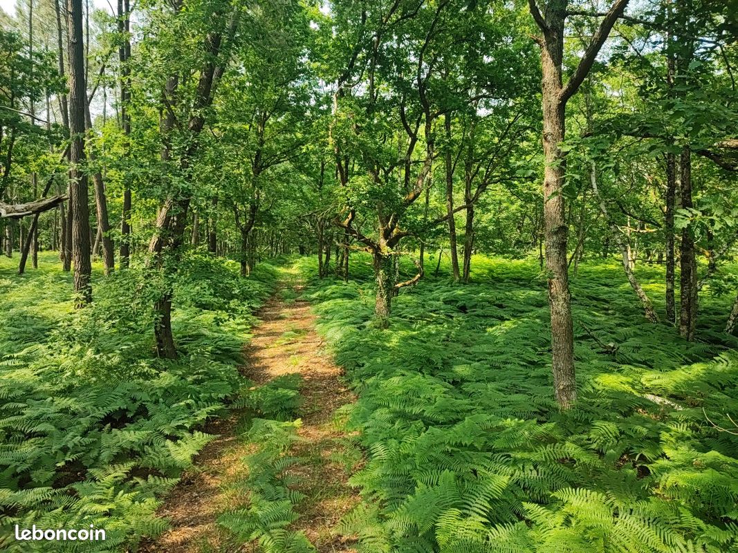 Terrain 100480 m² LOYE SUR ARNON · à Loye-sur-Arnon · 59 900 €