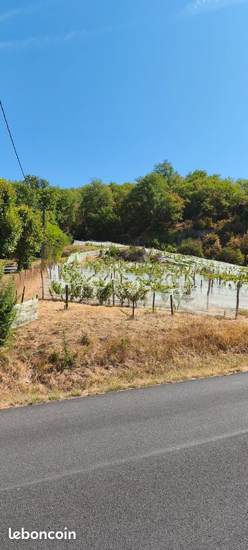 Parcelle de vigne. Causse corrézien. Lissac-sur-Couze · 20 000 €