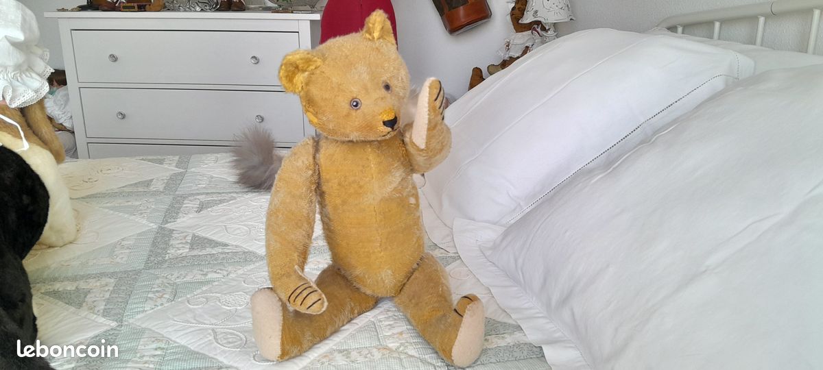 Rare et très bel ours ancien allemand Petz (image 7)