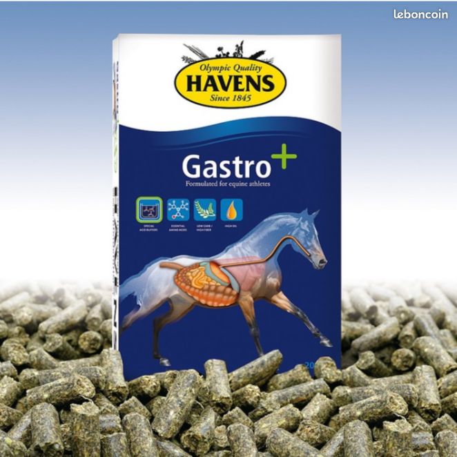 Sacs Havens Gastro+ (image 3)
