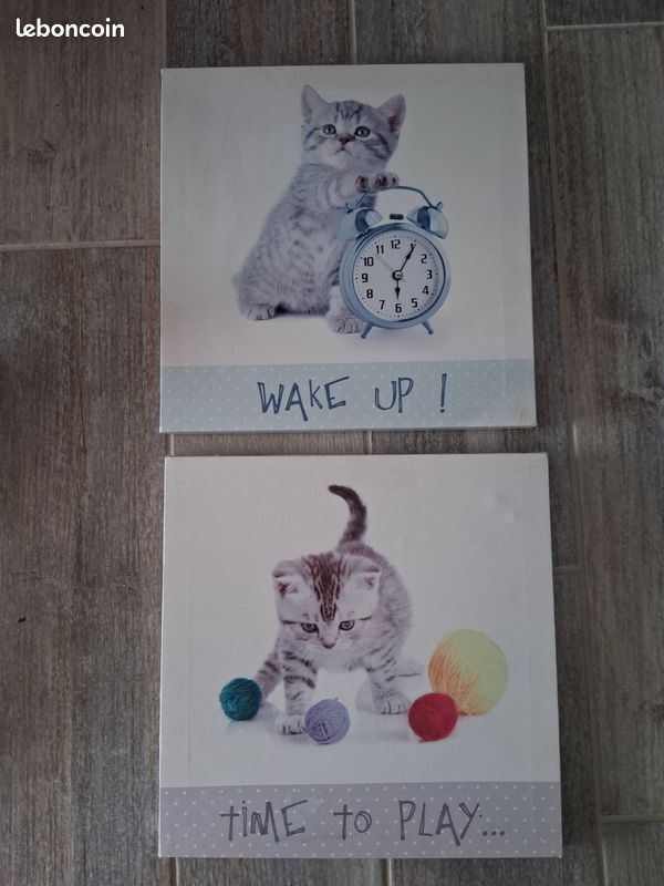 Tableaux chats (image 1)