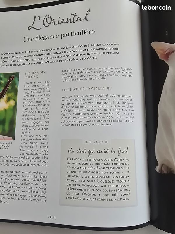 Livre laroisse neuf: à chacun son chat (image 5)